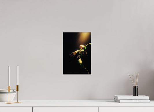 8 x 12″, ChromaLuxe HD Metal Print with Aluminum ArtBox In the spotlight