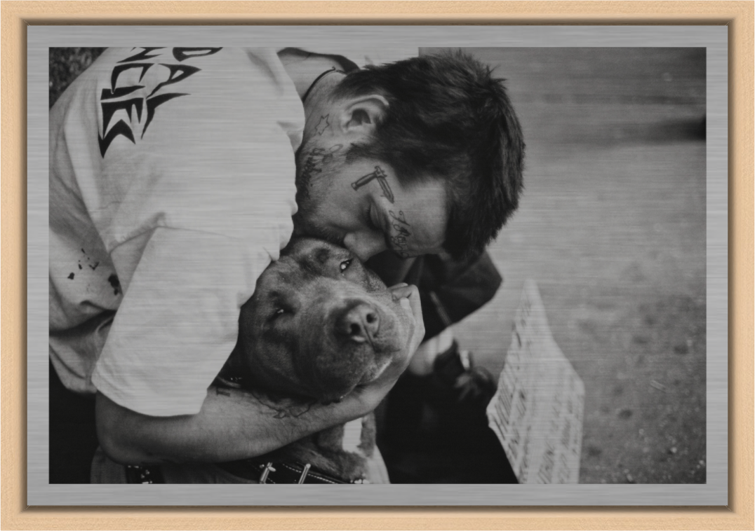 Main image Jake and Blue